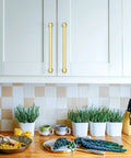 10 Pack 10 Inch Brushed Gold Cabinet Handles For Kitchen Drawers And Cupboards Top Shelf smooth glide on modern kitchen cabinets.