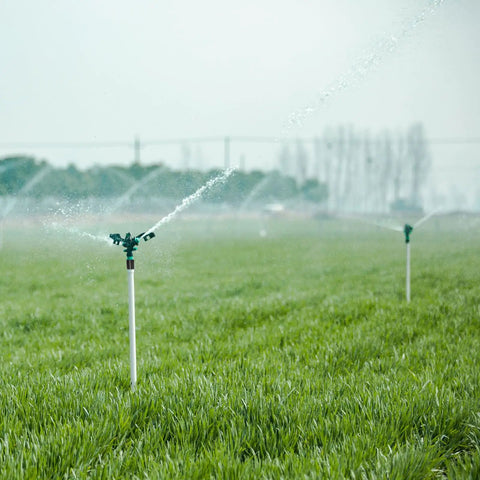 Sprinkler system in operation using 12 Pcs 1/2 Inch MNPT Sprinkler Riser Extensions And 6 Pcs 1/2 Inch Double Female FNPT Connectors for irrigation