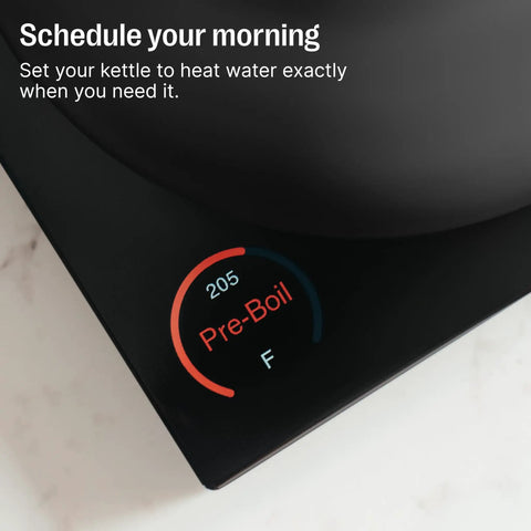 Gooseneck Pour Over Coffee Kettle With Precise Temperature Control Quick Heat Up Brew Timer And Scheduling Stainless Steel Point Nine Liter Matte Black