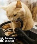 Cat trying to chew on Split Sleeve Wire Loom For High Temperature Automotive Harness And Home Cable Management, prevents chewing