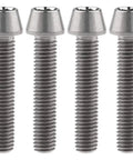 Badass Titanium Hardware Kit Six Piece M8x40mm Inner Hexagon Full Thread Bolts with smooth heads and long threads.