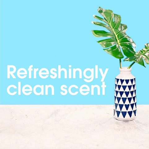 Refreshing clean scent with a vase and tropical leaves against a blue background