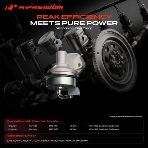 Hassle Free Mechanical Fuel Pump With Rock Solid Drive Spring Fits Chevrolet Corvette 1980 To 1981, showing detailed design and connections.