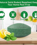 24 Pack Peppermint Oil Rodent Repellent Busts Mice Rats Spiders Roaches Squirrels Inside Out, green mint disc on wooden surface.
