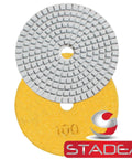 4 Inch Diamond Polishing Pads Wet Dry Set With 11 Diamond Pads And Backer Pad For Granite Concrete Marble Polishing Includes Grits 100