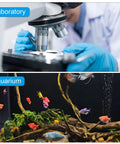 Split image showing a laboratory scene with a microscope and gloved hands, and an aquarium with colorful fish and aquatic plants.