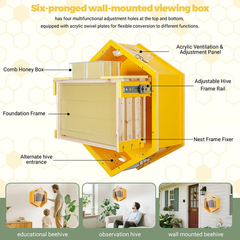 Observation Beehive Starter Kit With 3 Frames And 6 Reusable Honeycomb Trays, wall-mounted hexagon with open viewing sections.