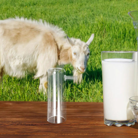 Goat Milking Cup Spare Part For Sheep And Goats White Plastic Milking Cup For Mobile Use On Busy Farms Easy Cleaning Efficient Suction And Milk Flow Dairy Farm Milking Equipment Replacement Part, clear milking cup