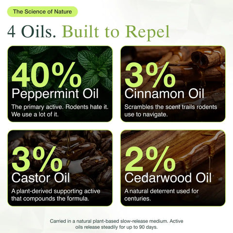 4 essential oils highlighted for natural mouse repellent pouches: peppermint, cinnamon, castor, cedarwood.