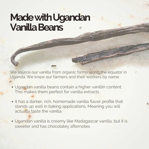 Close-up of Ugandan vanilla beans highlighting richness and quality for making Bulk Vanilla Extract 128 Oz Gallon From Ugandan Vanilla Beans.