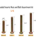 Top Shelf Threaded Insert Nut And Bolt Assortment Kit Zinc Plated Carbon Steel in 5/16 sizes for wood repairs, featuring various lengths.