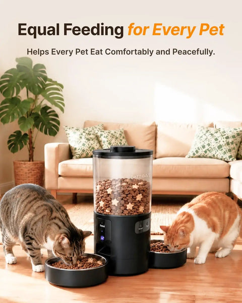 Top Shelf Dual Camera Automatic Pet Feeder With Two Separated Bowls And Six Liter Hopper For Independent Cats And Dogs Smart Programmable Timer, two cats eating side by side.