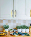 Straight Up Premium Brushed Gold Cabinet Pulls And Drawer Handles For Kitchen Cabinets And Cupboards Sweet 3 Inch Hella Smooth Finish No Fuss Install Durable Metal Pro Grade Kits on white cabinets.