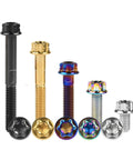 Premium Titanium Socket Cap Screws M6 Flange Head Bolts 15 Millimeters in various finishes, showcasing corrosion-resistant fasteners.