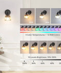 Vintage Battery Operated Wall Sconce With Amber Tulip Glass Lampshade showing color temperature and brightness options