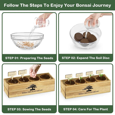 Complete Bonsai Tree Kit for Beginners DIY Starter Set step-by-step guide with grow bags, soil, and seeds in wooden box.