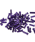 Colorful Spoke Cap Set For Mountain And Road Bikes, 60Pcs 14G Iron Nipple Caps in purple, lightweight rust resistant