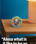 Echo Pop Kids Smart Speaker With Alexa Plus Showcasing Fresh Disney Princess Vibes on wooden table next to a lamp.