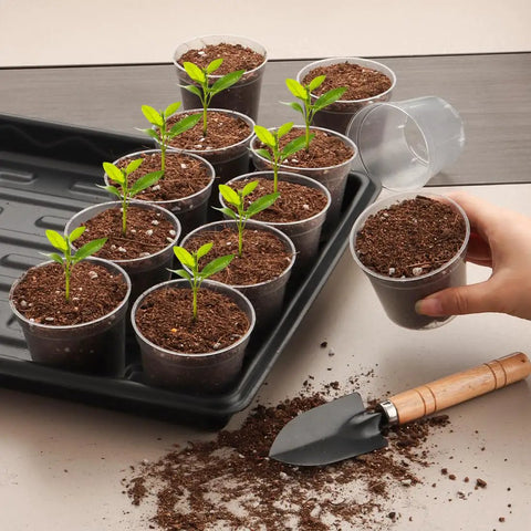 Clear Seed Starter Pots 2.5 Inch, 100 Pack Round Seedling Pots For Germination with seedlings in soil, displayed on tray.