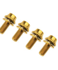Built Different Aerospace Grade Titanium M5x12mm Bottle Cage Bolts For Bicycle Cycling With Washers in gold finish.