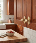Champagne Bronze Cabinet Knobs With Orbit Rim Backplate Beaded Pull Modern Zinc Alloy Hardware in kitchen setting