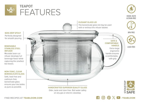 Kyoto 2-In-1 Tea Kettle and Tea Maker Glass Teapot with removable stainless steel infuser, showing clear borosilicate glass.