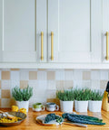 Ten Pack Of 5 Inch Brushed Gold Cabinet Handles Boasting Heavy Duty Metal Build Ideal For Snazzing Up Your Kitchen With Rust Proof Durability And Super Quick Install on white kitchen cabinets.