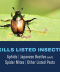 Japanese beetle on leaf, 3 In 1 Insecticide And Fungicide For Plants Ready To Spray 32 Oz Boss Level Pest Defense Kills insects.