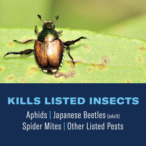 Japanese beetle on leaf, 3 In 1 Insecticide And Fungicide For Plants Ready To Spray 32 Oz Boss Level Pest Defense Kills insects.