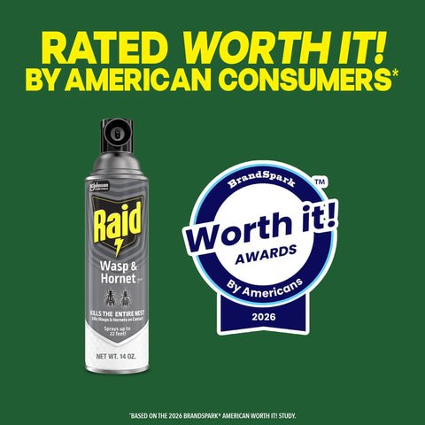 Straight Shooting Flying Insect Killer Spray For Wasps And Hornets With A Powerful Jet Stream Two 14 Oz Cans shown with award badge.