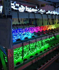 Digital Addressable WS2811 LED String Lights Waterproof RGB Full Color 12mm Outdoor 500pcs lit with various colors on shelves