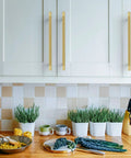 Kick Up Your Kitchen Vibes With These Slick Brushed Gold Knurled Cabinet Handles And Drawer Pulls A Top Shelf 10 Inch 10 Pack Heavy Duty Cupboard Hardware on modern white kitchen cabinet.