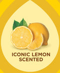 Expert Care Lemon Scent Wood Wipes For Polishing And Protecting Wood Furniture And Surfaces No Spray Convenience