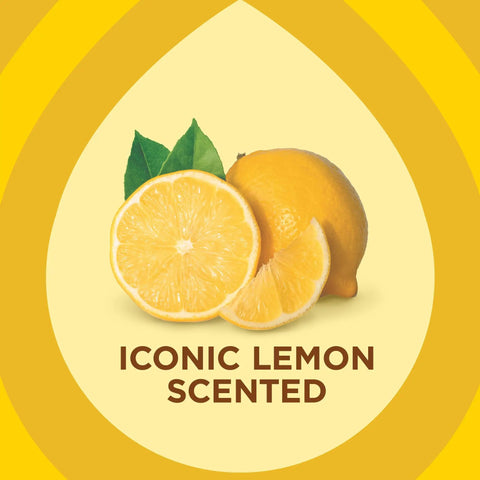Expert Care Lemon Scent Wood Wipes For Polishing And Protecting Wood Furniture And Surfaces No Spray Convenience