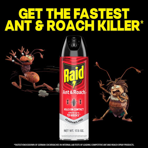Ant And Roach Killer Spray For Home Use Fragrance Free Kills On Contact Insects Including Ants Cockroaches Spiders 17.5 Oz