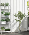 Top Notch Four Tier Bamboo Ladder Shelf Game Changer Plant Stand And Bulk Storage Rack No Sweat Freestanding Organizer For Versatile Indoor Living Room Home Office Spaces displaying potted plants on white bamboo shelves.