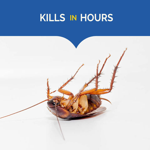 Dead cockroach highlighting efficacy of Fast Acting Liquid Roach Bait 6 Pack that wipes out pesky cockroaches in hours.