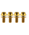 Built Different Aerospace Grade Titanium M5x12mm Bottle Cage Bolts For Bicycle Cycling With Washers Ultra Lightweight set of four gold bolts.