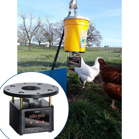 Programmable Automatic Chicken Feeder With Digital Timer Kit For Chickens Ducks Geese Featuring Metal Spin Plate, setup with yellow bucket.