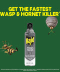 Straight Shooting Flying Insect Killer Spray For Wasps And Hornets With A Powerful Jet Stream Two 14 Oz Cans, 14 Oz can shown with insects.