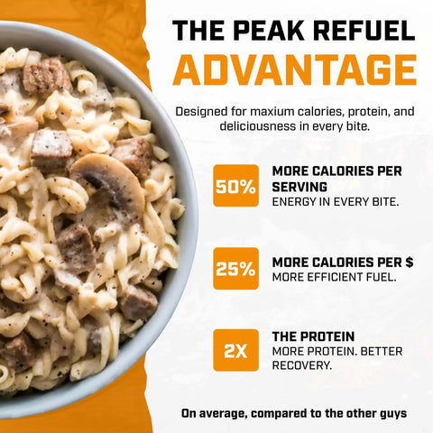 Hearty Beef Stroganoff Freeze Dried Backpacking Meal Just Add Water Made With Real Meat shown in a bowl with pasta and beef chunks.