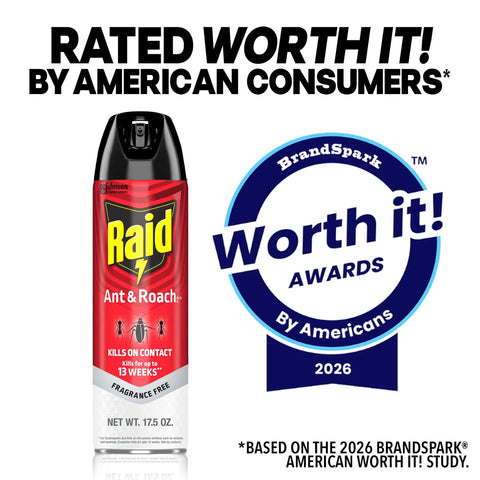 Ant and Roach Killer Spray with BrandSpark award, 17.5 oz can, labeled 'Kills on Contact', fragrance free, 2026 award