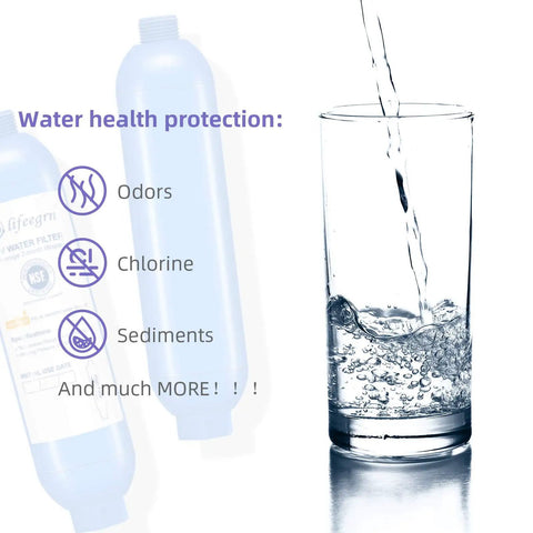Heavy Duty Inline RV Water Filter With Hose Protector Quick Twist Fit in blue, displaying protection from odors, chlorine, and sediments.
