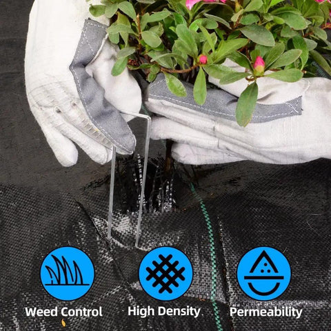 Gloved hands installing planting on Heavy Duty Weed Barrier Landscape Fabric 3ft By 100ft Ground Cover For Gardening And Farming 3.2oz Permeable Black Polypropylene Cloth Professional Grade Weed Control Easy Install