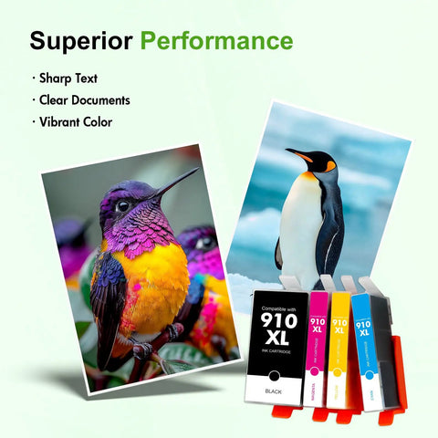 910XL Ink Cartridges Black And Color Combo Pack with photo prints of colorful birds and penguins for OfficeJet Pro 8010 to 8035