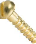 No Nonsense Brass Wood Screws Slotted Round Heads Size Two Deep Coarse Threads For Diy Woodworking And Shop Repair Dead On Hardware Collection