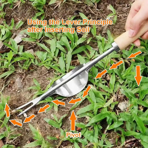 Back-Saving Garden Weeding Tool with Wood Handle and Stainless Steel Forks demonstrates leverage design in use on lawn
