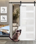 Hella Durable Sliding Barn Door With Smooth Track Hardware Kit For Closets And Hallways Featuring Five Tempered Frosted Glass Panels On A Waterproof PVC Coated Frame Designed For A No Sweat DIY Setup And Rock Solid Feel, shown with cat.