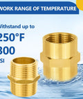 Four Pack Brass Pipe Fittings Set With Two One Inch Male Adapters And Two One Inch Female Adapters Hex Nipples NPT