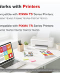 Three Pack Canon PG 275XL CL 276XL Ink Cartridges Replacement for Canon TS4720 TS3522 printers on a desk with laptop and plant